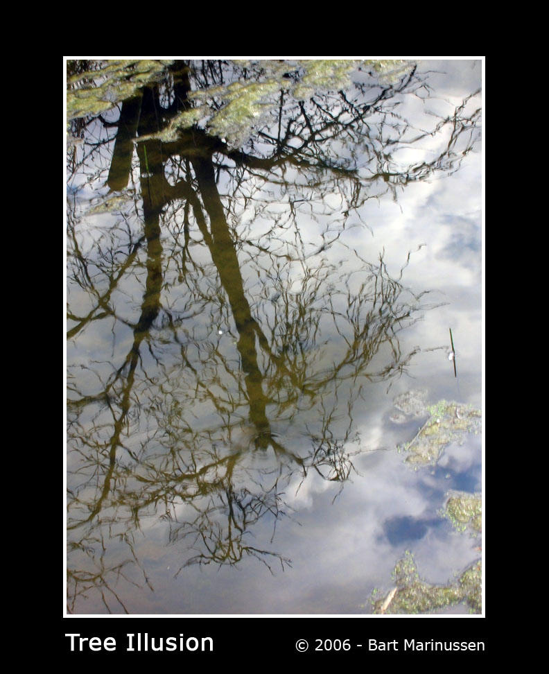 Invisible Tree Tree Illusion by BartelMagico on DeviantArt