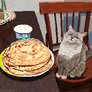 Blini Cat