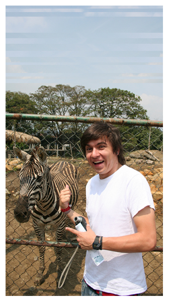 u can't say zeBRA without BRA