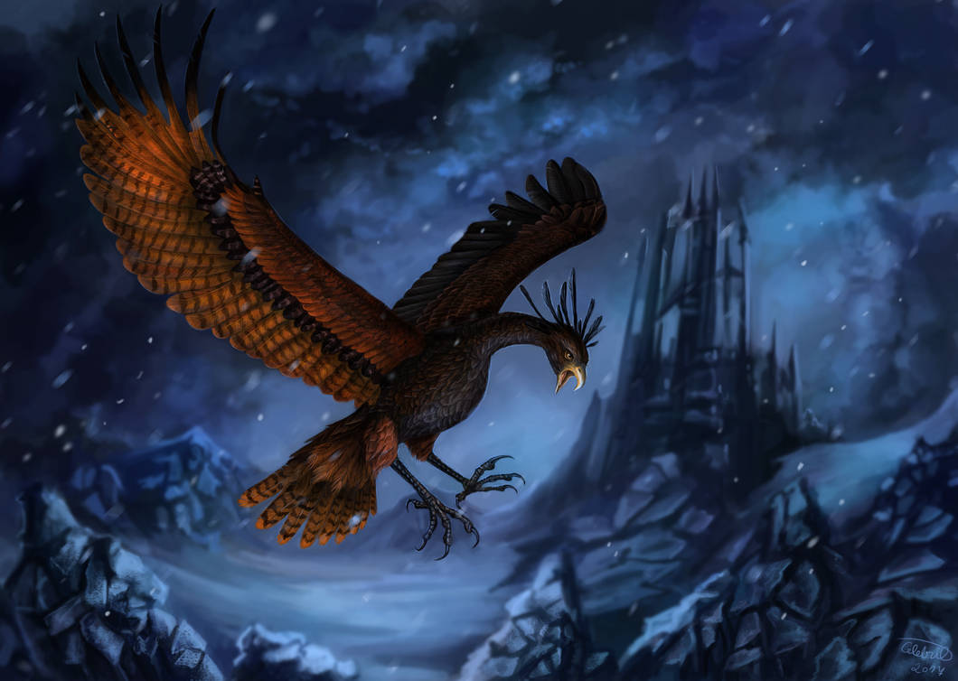 Real Phoenix Normal Phoenix Normal Form Commission by x-Celebril-x on DeviantArt