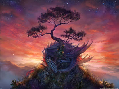 Until the stars go out