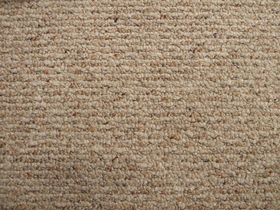 Rough Carpet