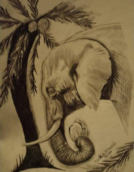 Coconut Elephant 