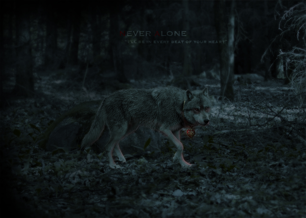 Never Alone