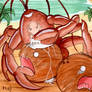 Coconut Crab