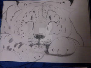 Snow Leopard Final