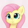 cutie Fluttershy!