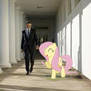 Mr. President, Fluttershy is here to see you.