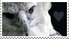 Harpy Eagle Stamp
