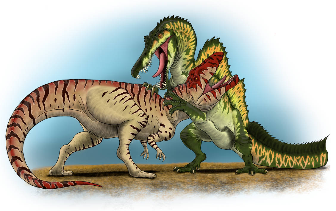 Convivencia y competencia entre grandes carnívoros del Sahara Spinosaurus_vs_carcharodontosaurus_by_aesirr_dfahc83-pre.jpg?token=eyJ0eXAiOiJKV1QiLCJhbGciOiJIUzI1NiJ9.eyJzdWIiOiJ1cm46YXBwOjdlMGQxODg5ODIyNjQzNzNhNWYwZDQxNWVhMGQyNmUwIiwiaXNzIjoidXJuOmFwcDo3ZTBkMTg4OTgyMjY0MzczYTVmMGQ0MTVlYTBkMjZlMCIsIm9iaiI6W1t7ImhlaWdodCI6Ijw9MTIwNSIsInBhdGgiOiJcL2ZcL2JhZDIwMmMzLWZhYjMtNDM2MC1hNjMwLTBhOGRhZjU3YmY2NlwvZGZhaGM4My02MTg1MjBiZi1kZmFiLTRlNjAtOWVhZC1kZjg3NDI1YTE4ODkucG5nIiwid2lkdGgiOiI8PTE5MjAifV1dLCJhdWQiOlsidXJuOnNlcnZpY2U6aW1hZ2Uub3BlcmF0aW9ucyJdfQ