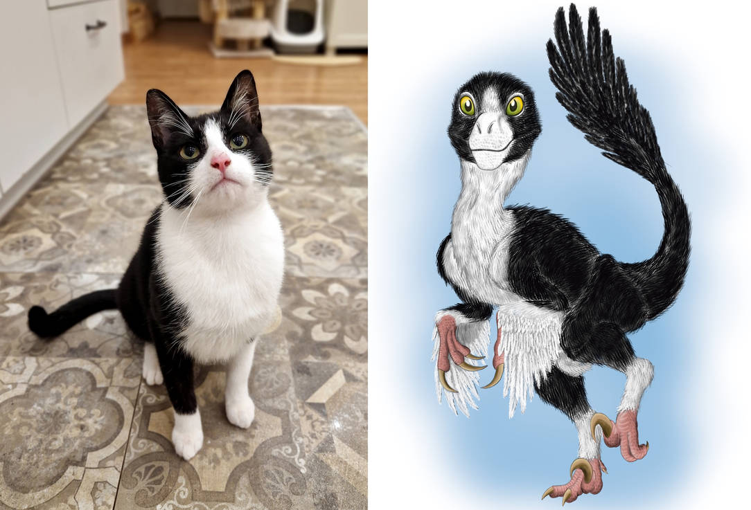 My Cat Lucek as a little Raptor by Aesirr on DeviantArt