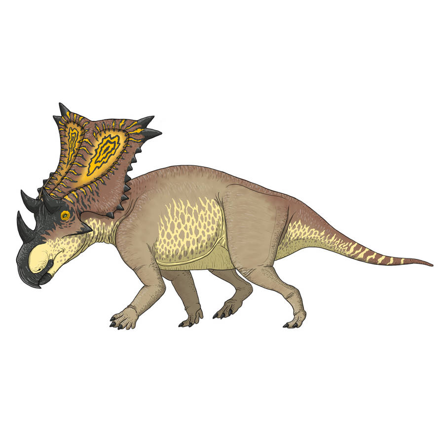 Chasmosarus Chasmosaurus by Aesirr on DeviantArt