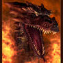 Dragon Fire IV