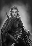 Elf Assassin (Commmission) by RaymondMinnaar