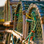 Lobster Traps