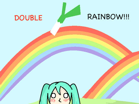 DOUBLE RAINBOW