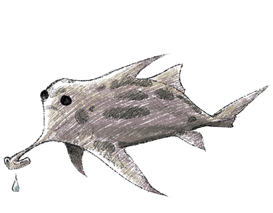 Ghost Shark