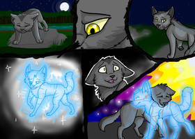 Graystripe and Silverstream