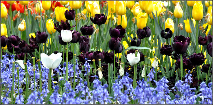 Floriade 2013 - 9