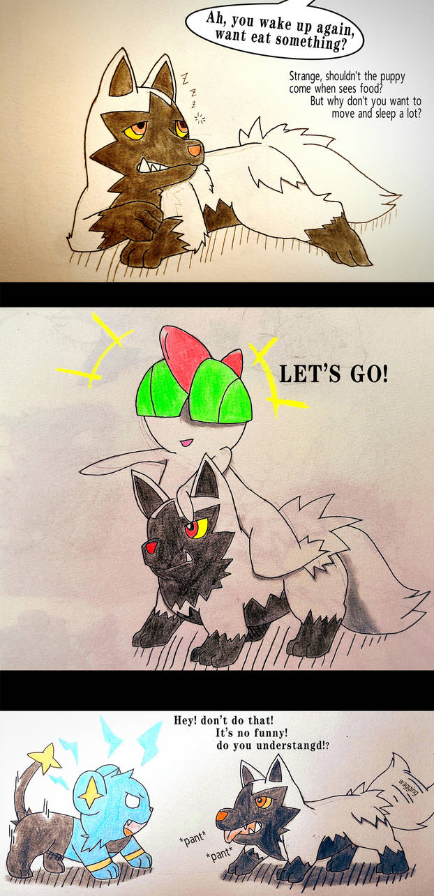 Puppy observation notes (Poochyena Record/PG 6) by manichi9918 on Puppy observation notes (Poochyena Record/PG 6) by manichi9918 on