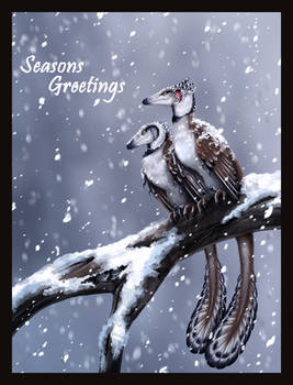 Seasons Greetings