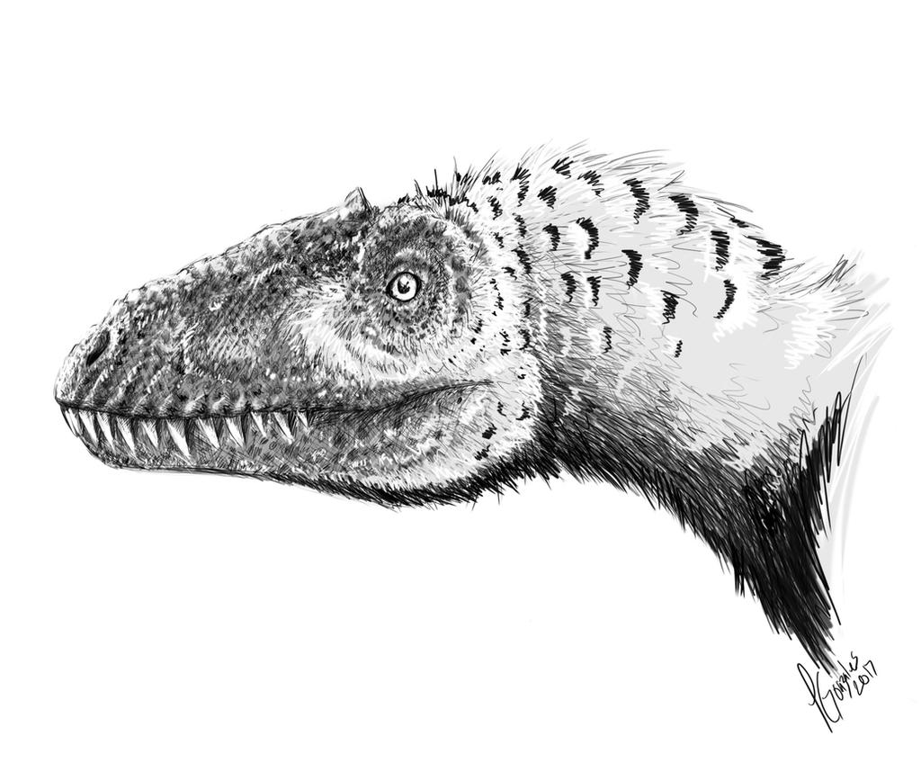 Yutyrannus By DeEtta On DeviantArt yutyrannus-by-deetta-on-deviantart