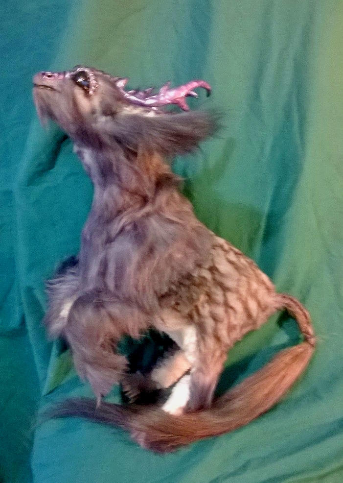 Kirin Rearing Kirin Rearing by quarterbunny on DeviantArt