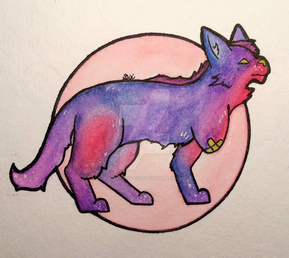 Star Cat Color Star Cat by 2Cartoon-Cats on DeviantArt