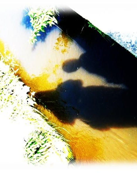 Shadow in the brook by InvisibleToTheEye on DeviantArt