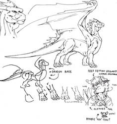 Dragon anatomy 1