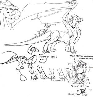 Dragon anatomy 1