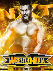 NXT Wrestlemania 2016 Poster (Fantasy)
