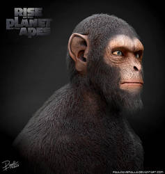 Rise of the Planet of the Apes (Ceasar)