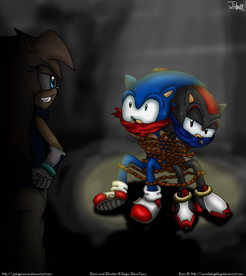 Captured Hedgehogs (Gift Art)