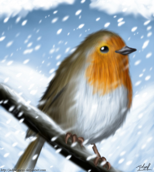 Robin in the snow