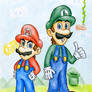 The Mario Brothers