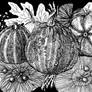 Decorative pumpkins