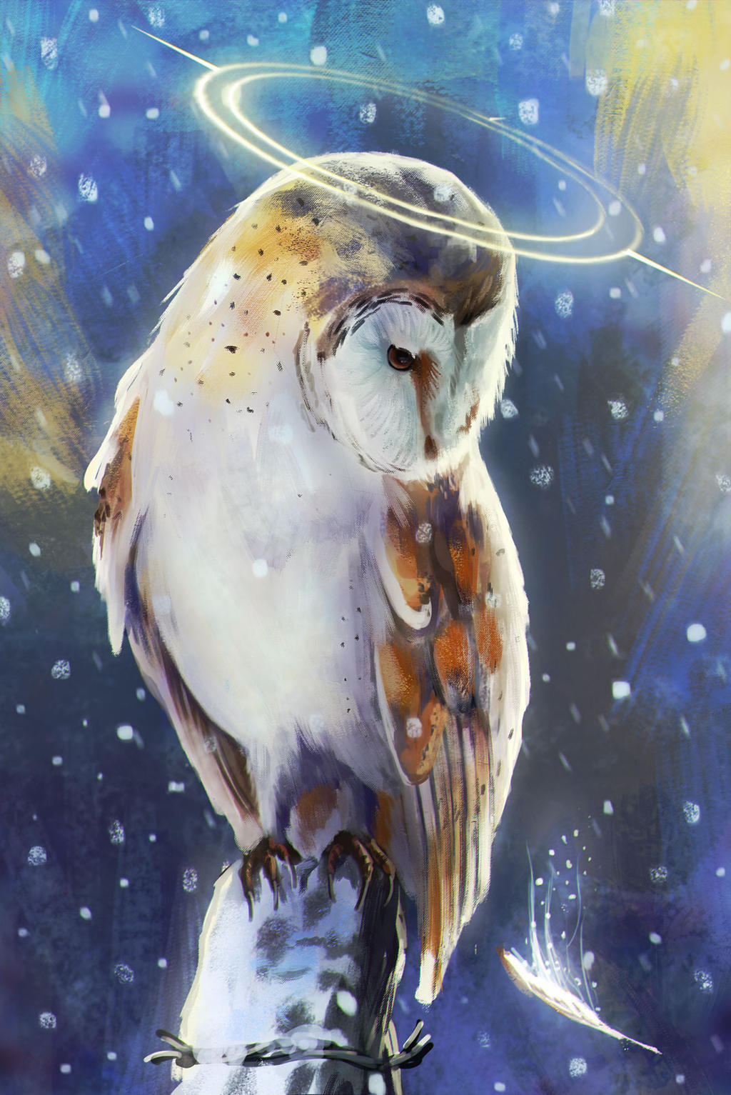 magic owl