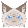 Dazepaw, Symmetrical Headshot