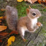 Needle Felted Gray Squirrel