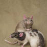 Needle felted rats