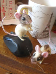 felted mice