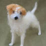 Felted Dog, scruffy mutt