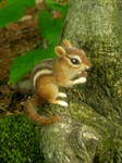 Needle Felted Chipmunk by HStiLeS Needle Felted Chipmunk by HStiLeS