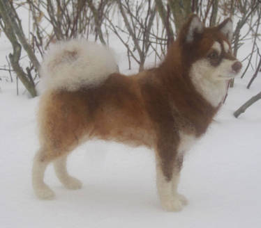 Needle felted Malamute