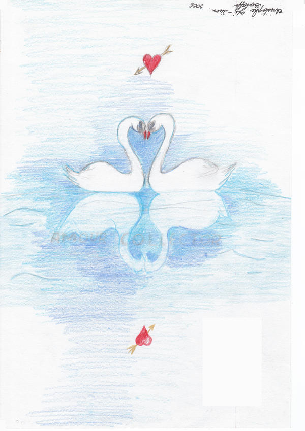 Swans of love