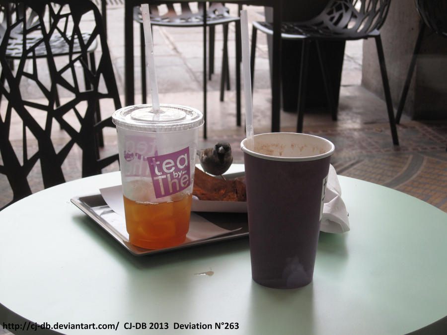 The appetite of a Sparrow