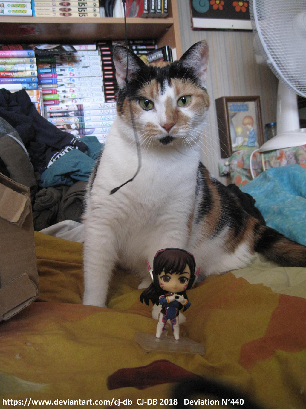 D Va loves the cat