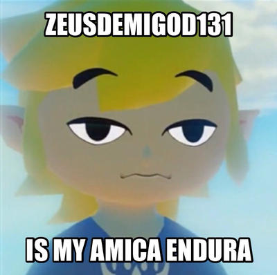 Amica Endura