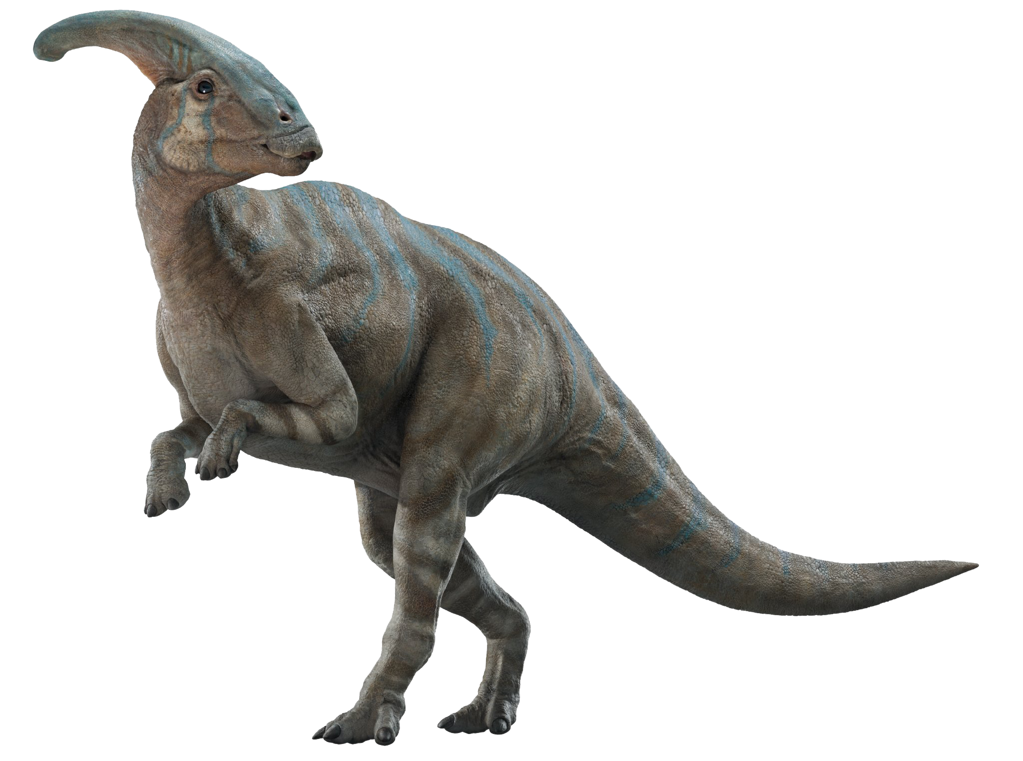 Jurassic World Dominion Parasaurolophus Render Png By Junior3DSYMas On jurassic-world-dominion-parasaurolophus-render-png-by-junior3dsymas-on